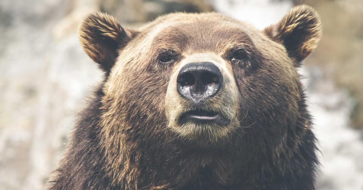 https://cdn.magicode.io/media/notebox/blob_gSSc8U1