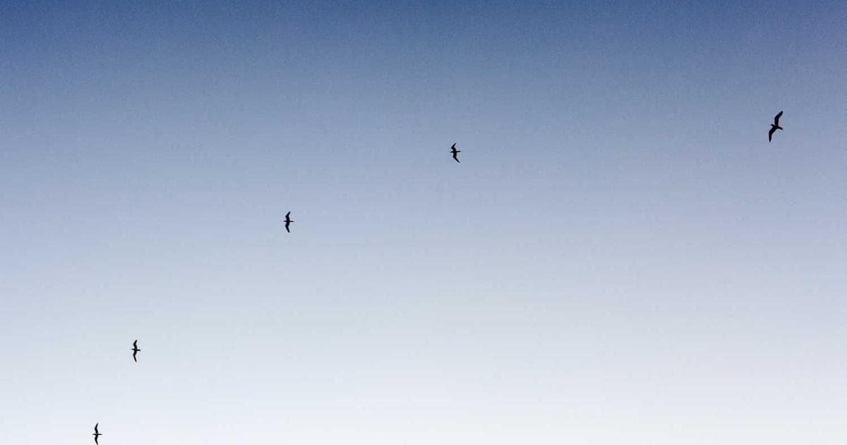 https://picsum.photos/seed/2b0c356de6964849a84e722b82392d48/1200/630